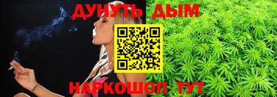 гидра Дубна