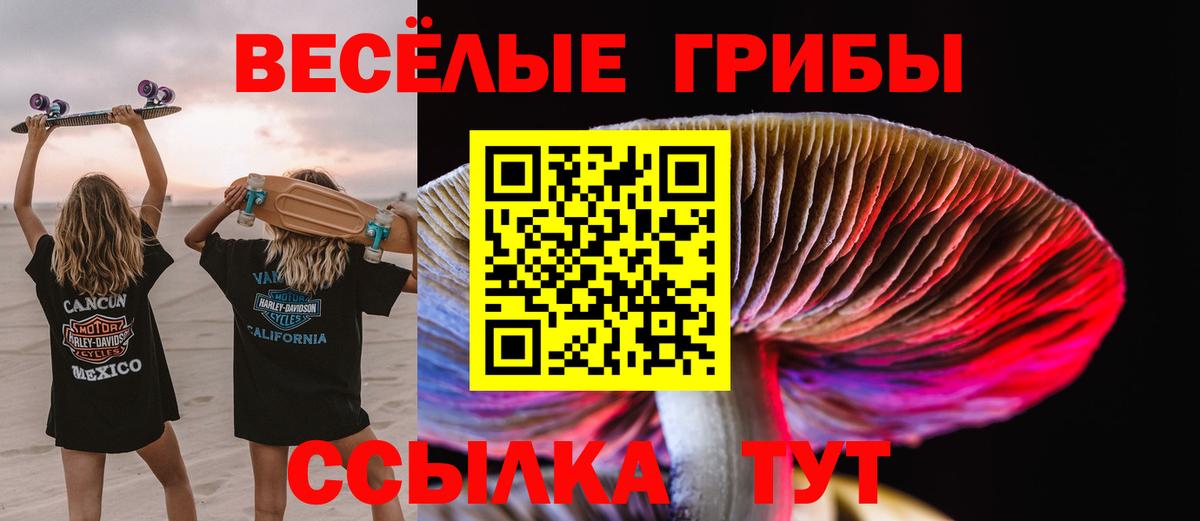 Псилоцибиновые грибы Cubensis  Псилоцибиновые грибы Psilocybine cubensis  Вход с VPN  Мичуринск 