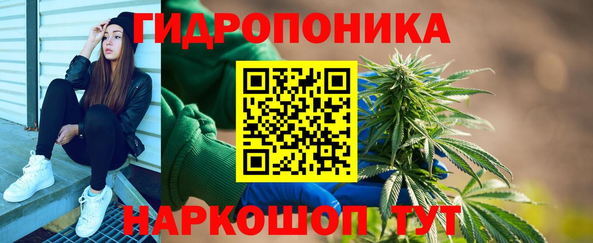 Каннабис сатива Мичуринск
