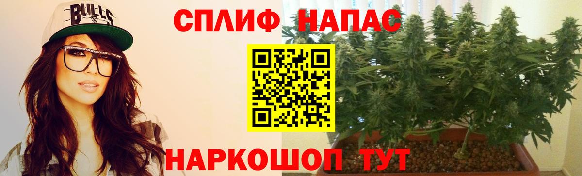 Мичуринск  Шишки марихуана Amnesia  Вход с VPN  Бошки Шишки тримм 
